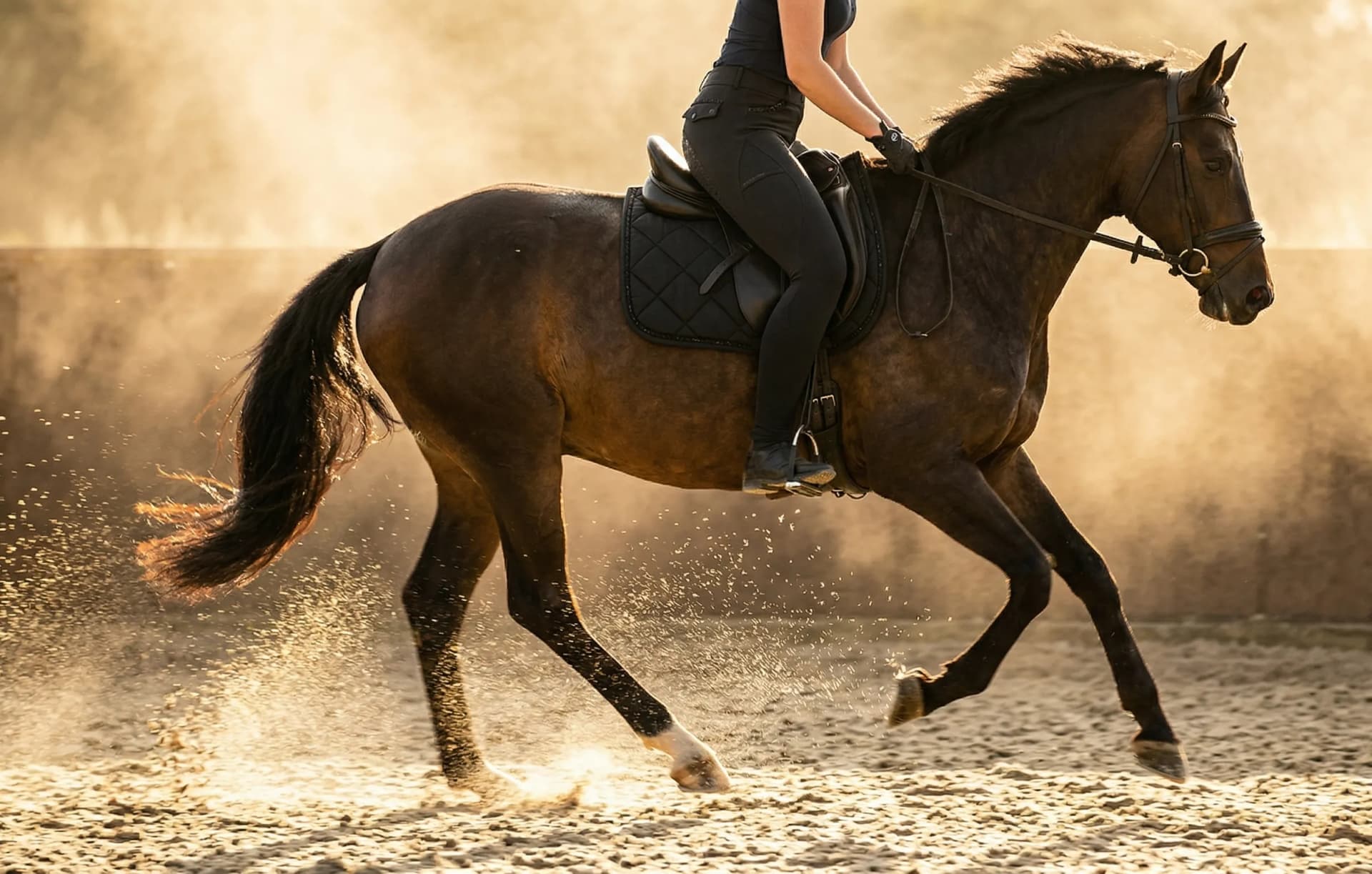 EQUIVE full-seat siliconen grip in actie